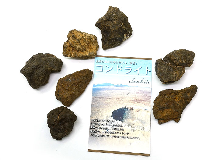 コンドライト隕石　原石　Mサイズ　ギャランティーカード付き　1個販売