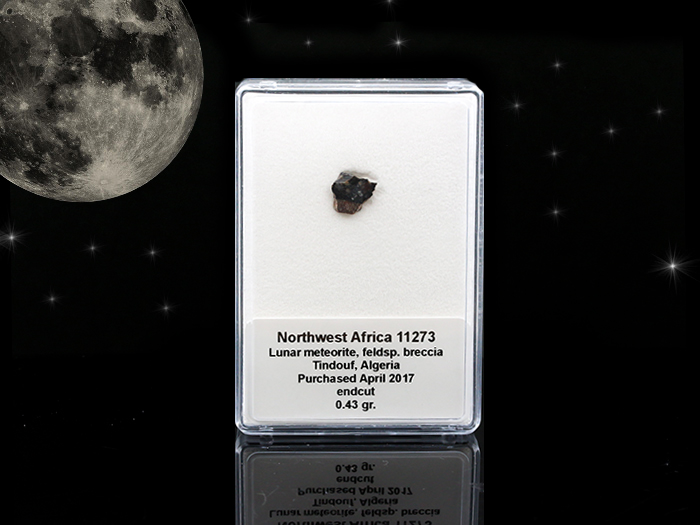 月の隕石　Lunar meteorite（NWA11273）現品No.LUN46［n］