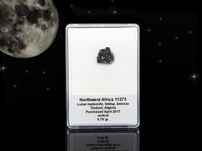 月の隕石　Lunar meteorite（NWA11273）現品No.LUN47［n］